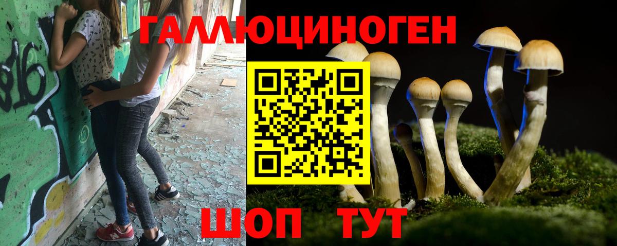 Пенза  Псилоцибиновые грибы Psilocybine cubensis  Вход с VPN 
