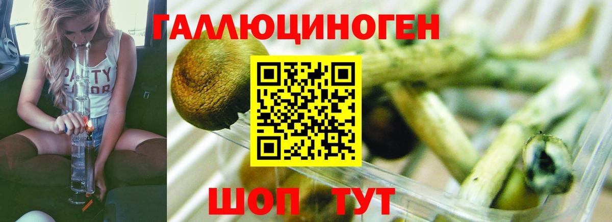 Псилоцибиновые грибы MAGIC MUSHROOMS Пенза